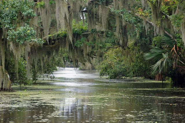 KLSURadio's tweet image. There’s no better time than a Saturday night to take a cruise down to the gulf. The Kingfish is your bayou guide to all things Louisiana, with LA-1 from 9-11 p.m.