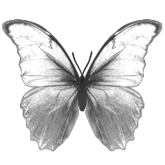 shepsysheps's tweet photo. Waiting for #ManofMedan
 (Platinum) "Until Dawn"! Salut from Russia to @SuperMGames    https://t.co/sPNd6WzzBE https://t.co/6bK3fDg1zR