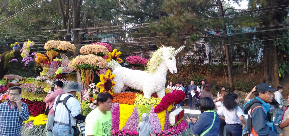 adrianCute6's tweet photo. Flower's Float Parade https://t.co/FHHnE0UTRV