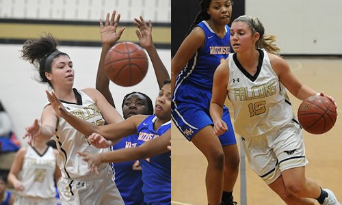 The girls varsity basketball team begins their playoff run against Damascus on Tuesday, March 5th, 6pm at PHS. All tickets are $6. Only state passes will be accepted. Come out and support the Lady Falcons. Get their early, there will be a big crowd! #Poolesville