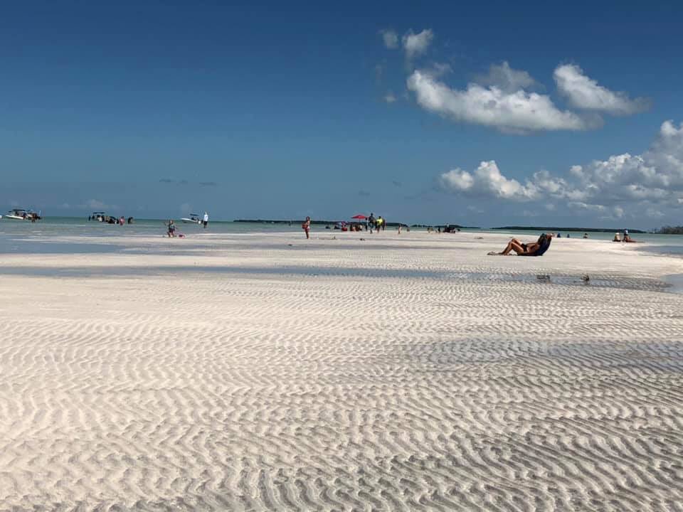 Raceline tweet media