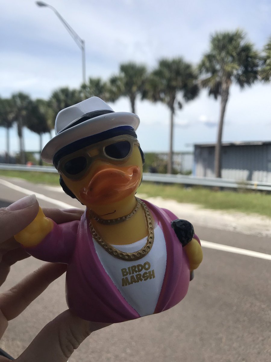 cari0628's tweet image. Found this little Duck at the airport today! Alan you will be coming in spirit with us to the
@Pink concert! We can tell your family loved you very much! Please spread his message to NEVER drink and drive!! @ Little Alan’s Duck❤️