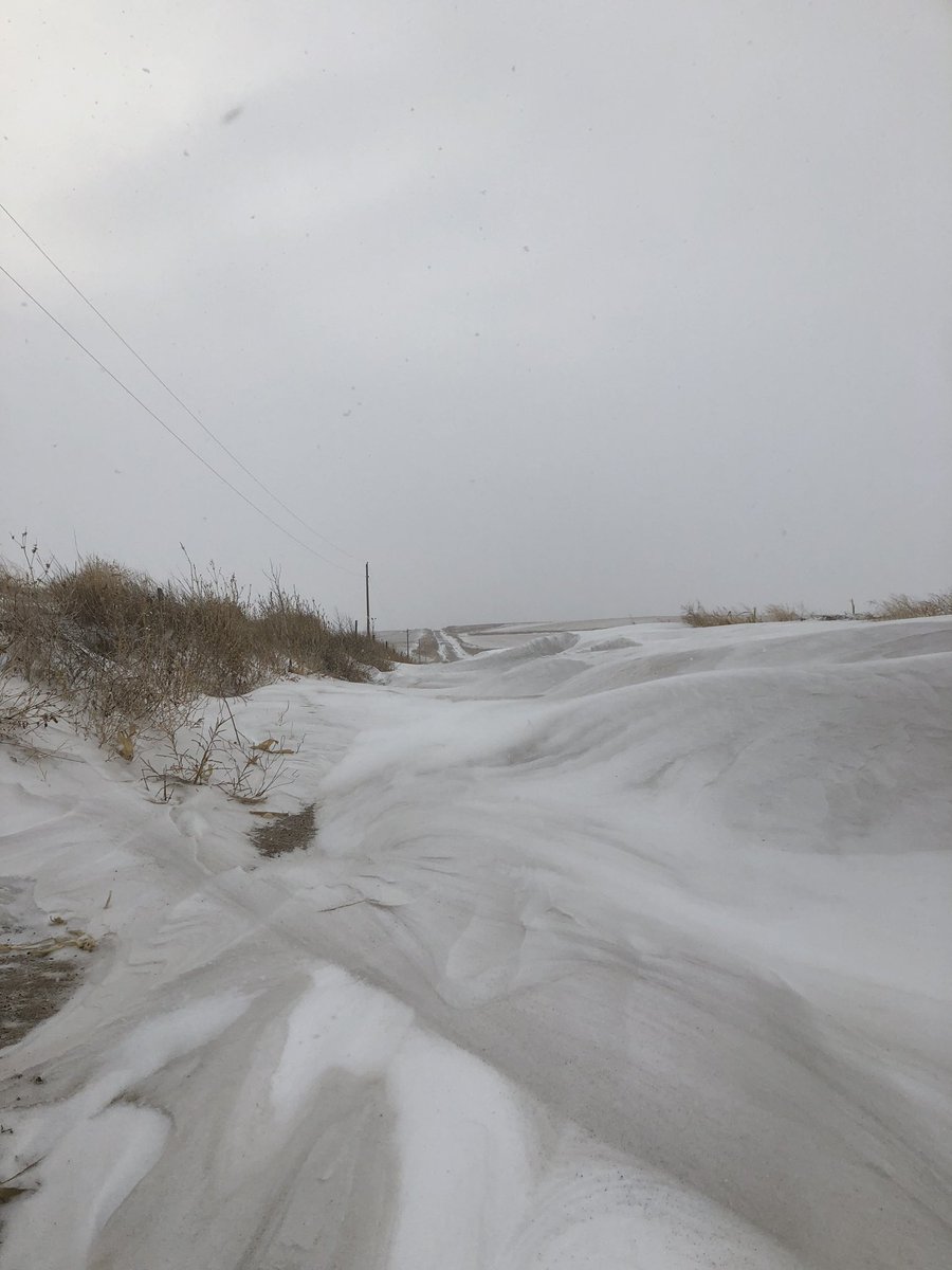 MandyCottrell's tweet photo. Lol that used to be my driveway #snowedin #nebraskathings https://t.co/LVj2HptjDE