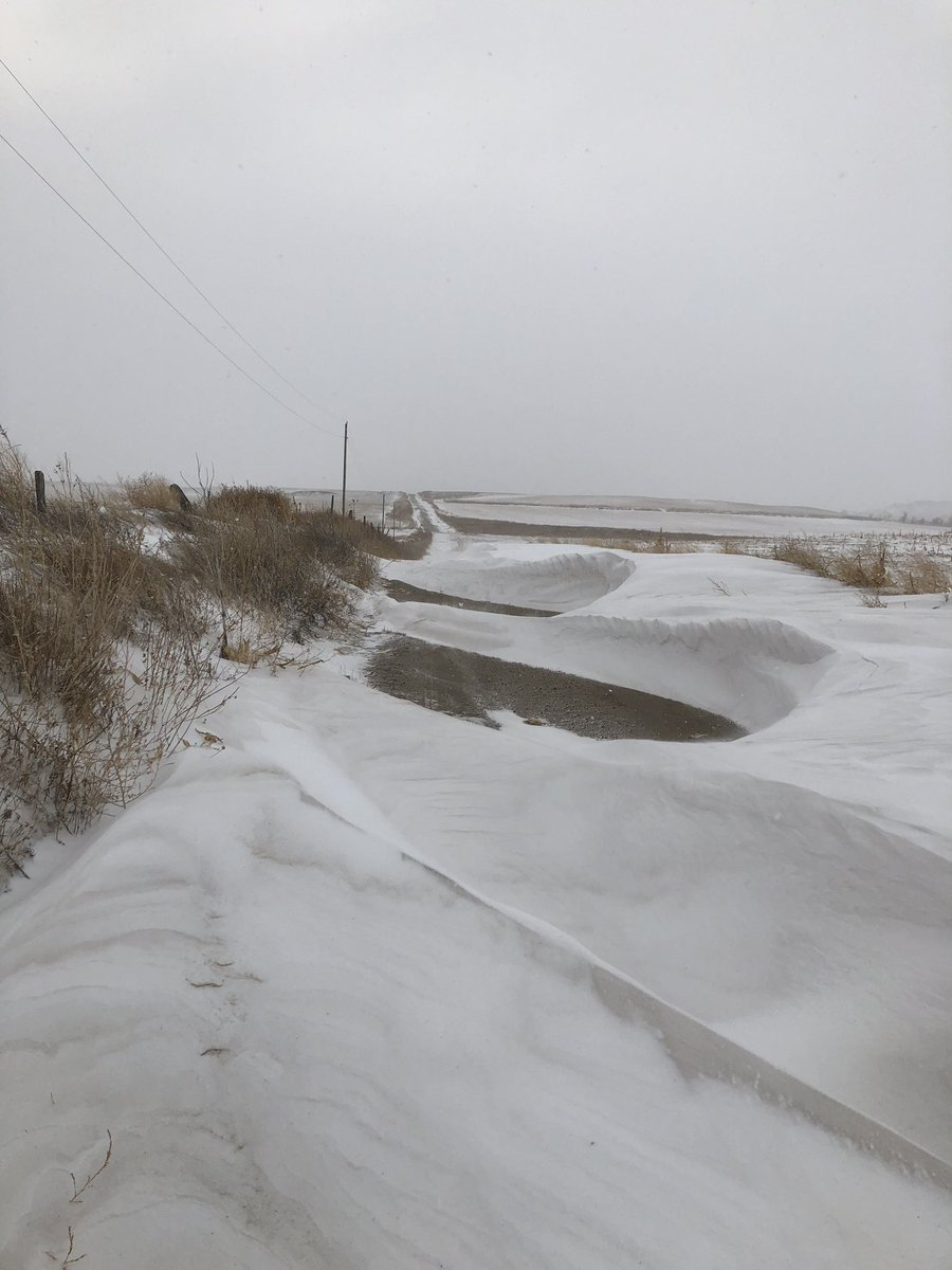 MandyCottrell's tweet photo. Lol that used to be my driveway #snowedin #nebraskathings https://t.co/LVj2HptjDE