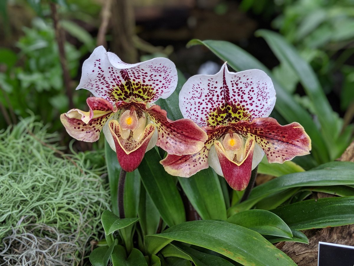 Great day in D.C.! Pleanty of great pictures and fun facts to share with my class on Monday! #americanindian #nationscapital #botanicalgardens