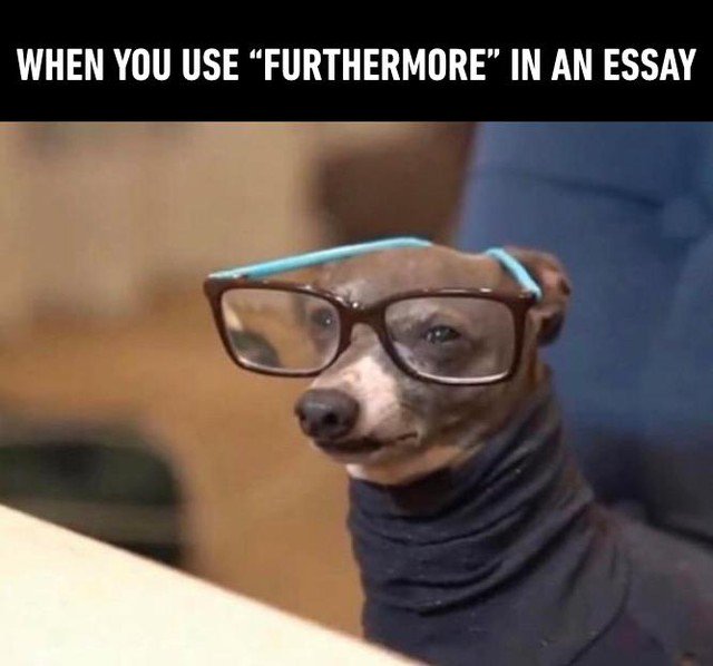 FunWorldofToys's tweet photo. #Factual 🤣🤣

#cleanmemes #funny #funnymeme #lol #cleanmeme https://t.co/JUXh3eP9q6
