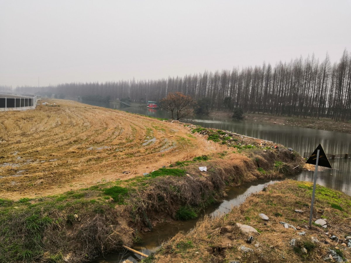 realChaoZhou's tweet photo. You can see breathtaking long gigawall and feel the size of the Tesla Gigafactory 3 in China.  #teslaq #TeslaChina #TeslaModel3 #China #GF3 #TeslaAtWork https://t.co/3djypWTPiW https://t.co/lhEDY2WiC8