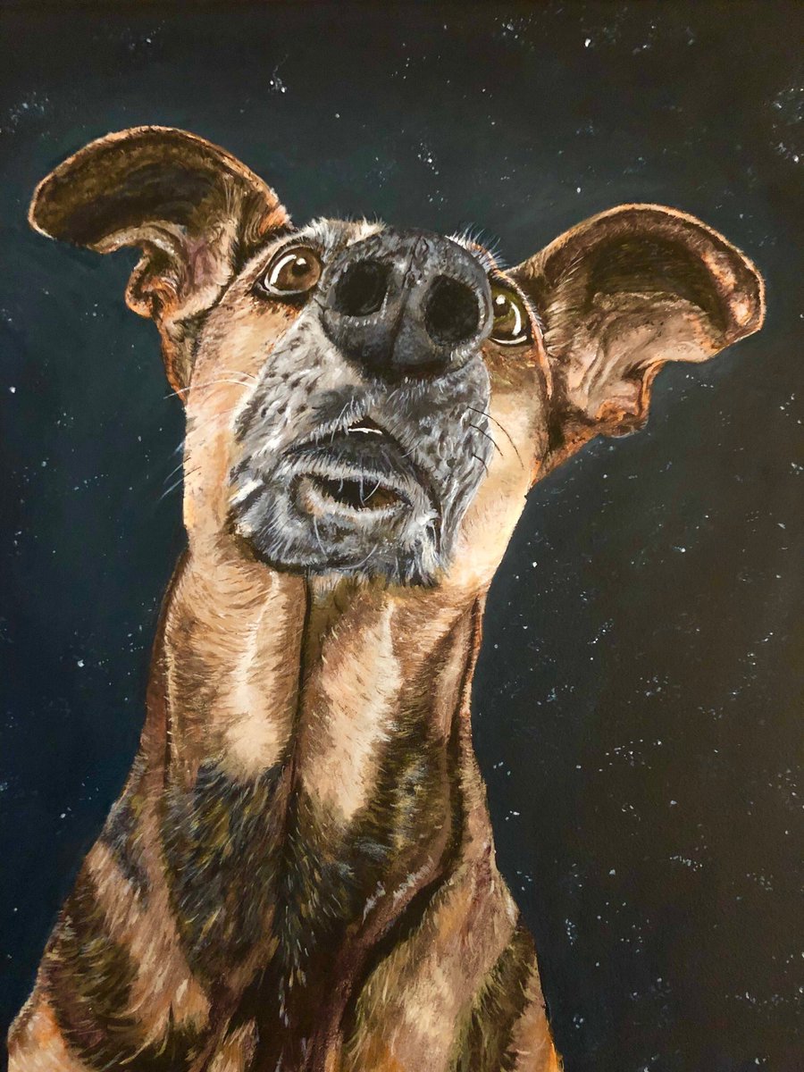unsweetcar0line's tweet photo. So my 64yr old dad started painting again for the 1st time in over 30yrs. Subjects of his art include rescue pups, other animals and various scenes from movies he loves. Please go like his FB page “Paintings by Burt” or RT this so I can help him see what an amazing artist he is❤️ https://t.co/cOkNwGI6Va
