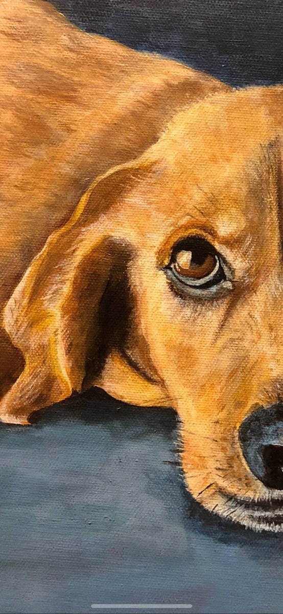 So my 64yr old dad started painting again for the 1st time in over 30yrs. Subjects of his art include rescue pups, other animals and various scenes from movies he loves. Please go like his FB page “Paintings by Burt” or RT this so I can help him see what an amazing artist he is❤️