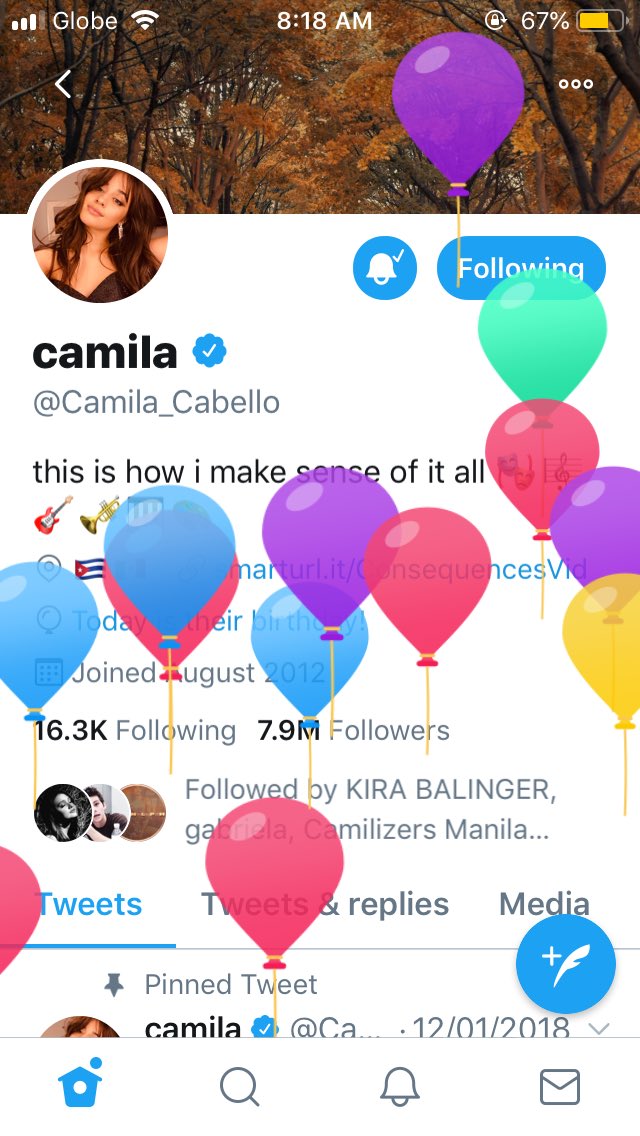  happy birthday Camila!!!     