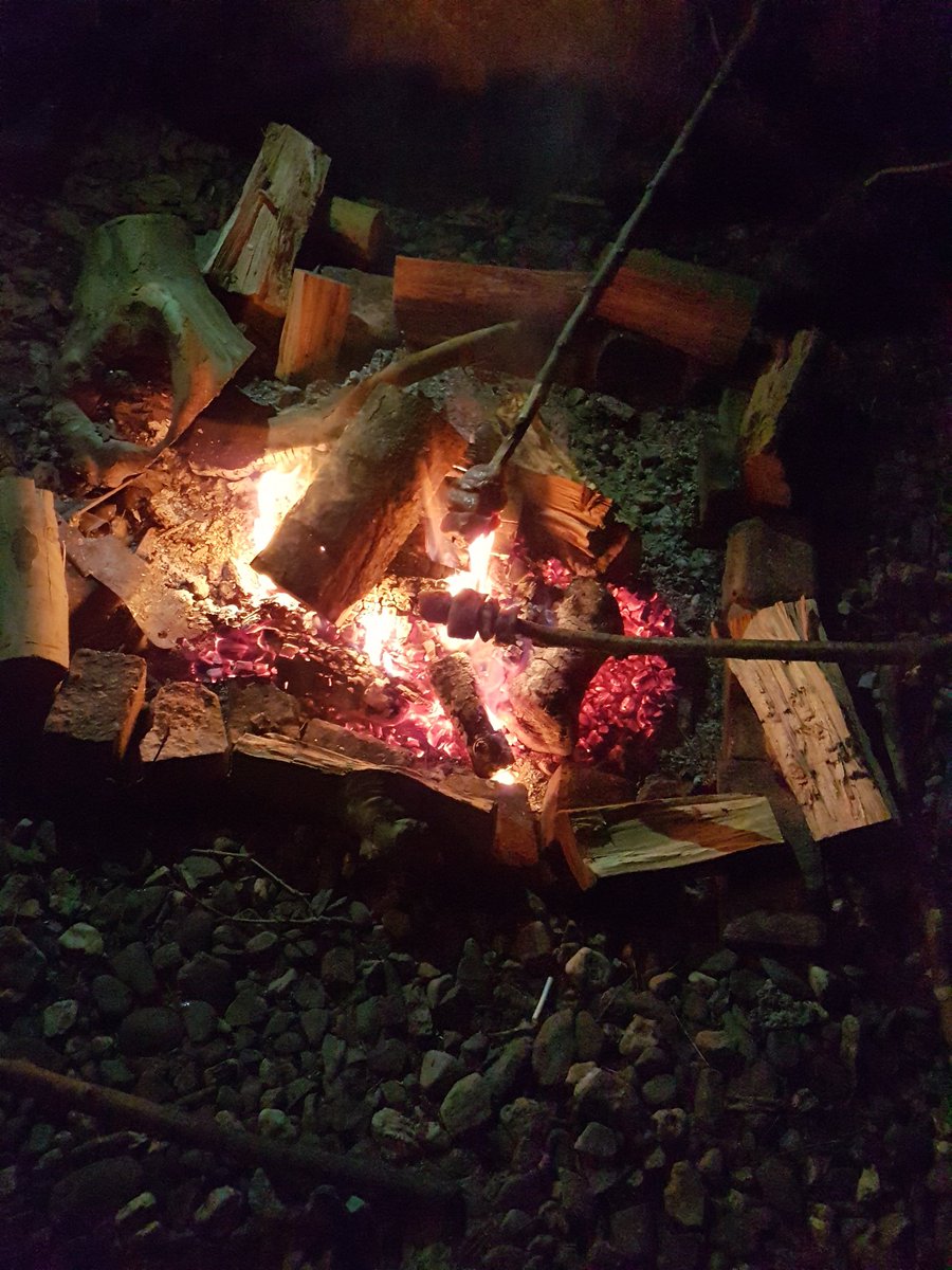 dm6a_mannheim's tweet photo. Heute mal wieder Brennholz geschlagen. https://t.co/ayMMh1EbPD