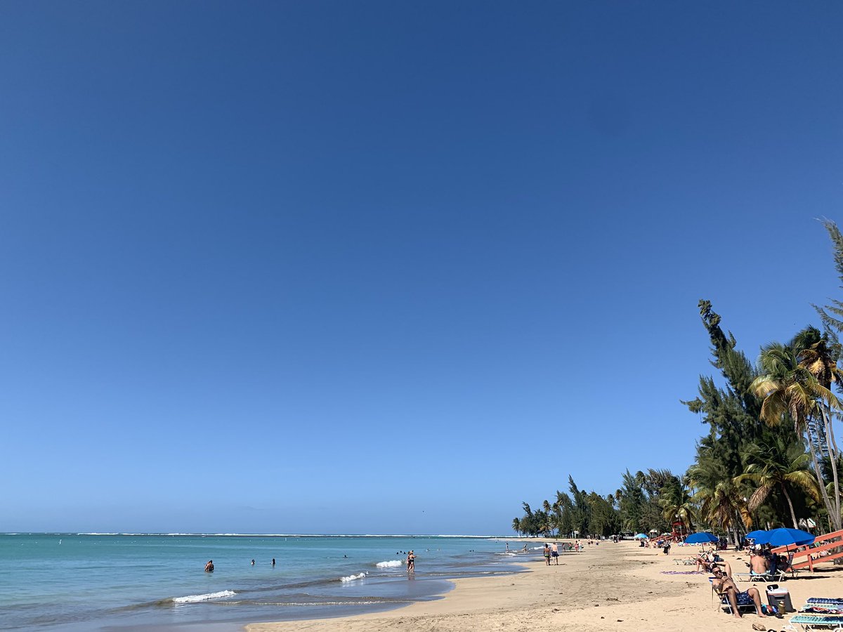 Rachel Weisend tweet media