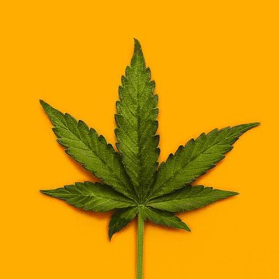 rabakking's tweet photo. #NewProfilePic https://t.co/P0bF8AbM8b