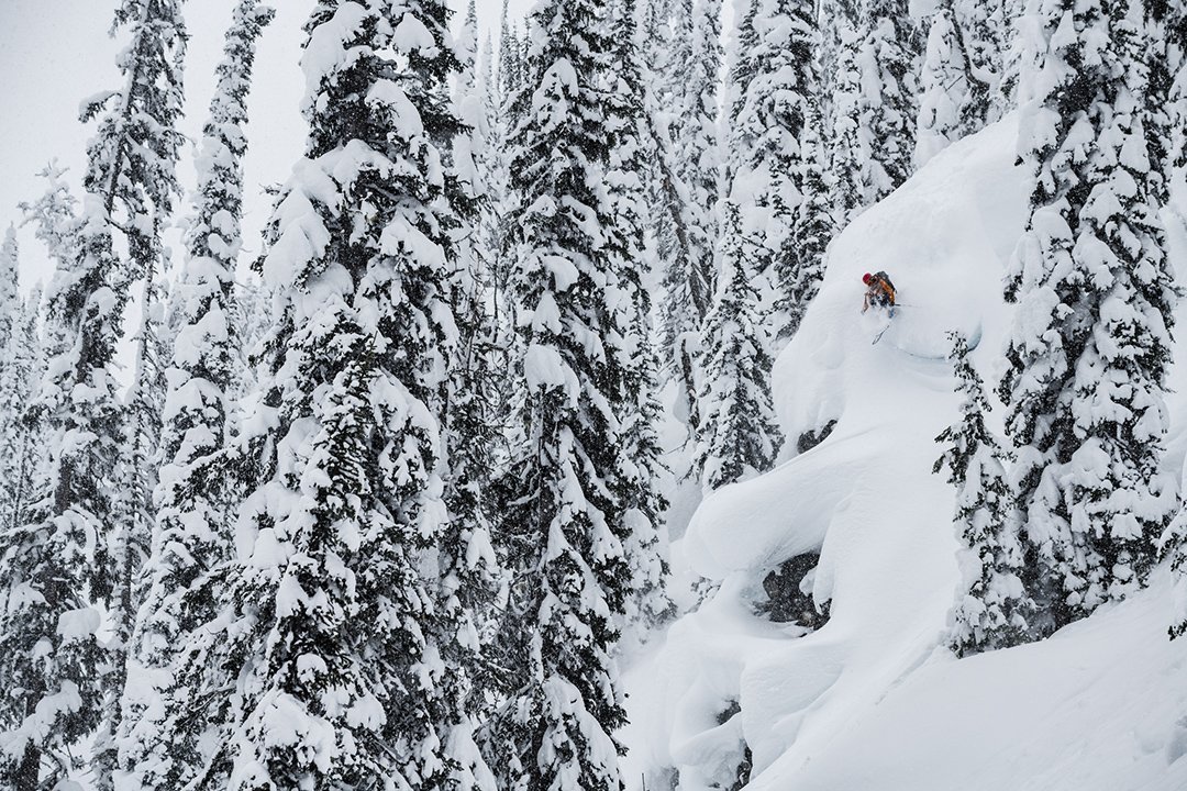 Patagonia tweet media