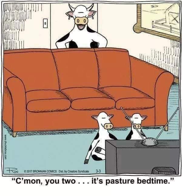 cleep (@ccc_lll_) on Twitter photo 