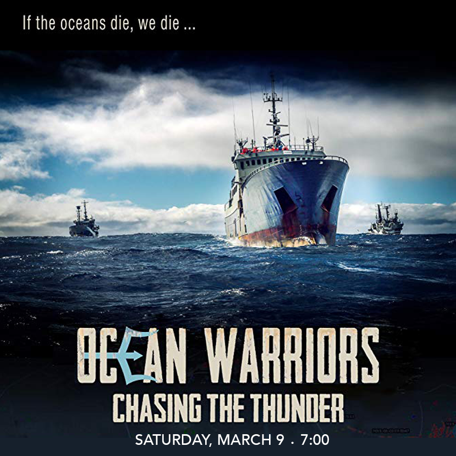 cafilminstitute's tweet photo. We're co-presenting two films with the @oceanfilmfest on March 8 & 9! Come check out #ManryAtSea and #ChasingTheThunder - Tix & info: https://t.co/oXMEO6cqOK https://t.co/Xaf2f1Jdu6