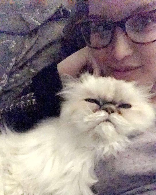 @CaringErin @xoNevsxo This is my cat too 😂 https://t.co/YlMoAs8kmV<a class="tags" target="_blank" title="On Twitter" href="/?out=eyJ0eXAiOiJKV1QiLCJhbGciOiJIUzUxMiJ9.eyJpYXQiOjE3MjQxOTM4NzYsImlzcyI6InR3cG9ybnN0YXJzLmNvbSIsIm5iZiI6MTcyNDE5Mzg3NiwiZXhwIjoxNzU1NzI5ODc2LCJyZWRpcmVjdF91cmwiOiJodHRwczovL3R3aXR0ZXIuY29tL0NhcmluZ0VyaW4ifQ.hkQSVayWdAPhKxGQZDD2zhjFdIFgECr0-m-oRCSgb6rKn2U5L-2Mp9T9vCbX1r5g4rqdTh1hOqly_AK_xcrfqg">@CaringErin</a><a class="tags" target="_blank" title="On Twitter" href="/?out=eyJ0eXAiOiJKV1QiLCJhbGciOiJIUzUxMiJ9.eyJpYXQiOjE3MjQxOTM4NzYsImlzcyI6InR3cG9ybnN0YXJzLmNvbSIsIm5iZiI6MTcyNDE5Mzg3NiwiZXhwIjoxNzU1NzI5ODc2LCJyZWRpcmVjdF91cmwiOiJodHRwczovL3R3aXR0ZXIuY29tL3hvTmV2c3hvIn0.xD3lb7TYI-xFRqy6fZ1q3KWCGvT1ExHcfoMVmxlHdHfbW1xUI8VqnJCpm5M9QMtv-ZPlmVCabfSB0z2_EXUorg">@xoNevsxo</a>