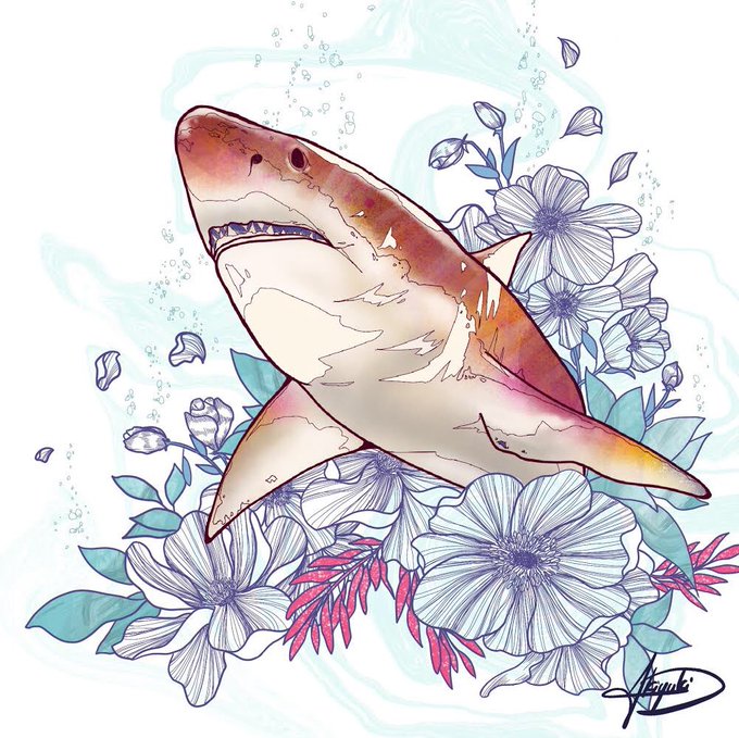 ホホジロザメのtwitterイラスト検索結果 古い順