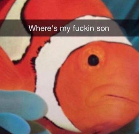 Shu, when he can't find Fubuki: