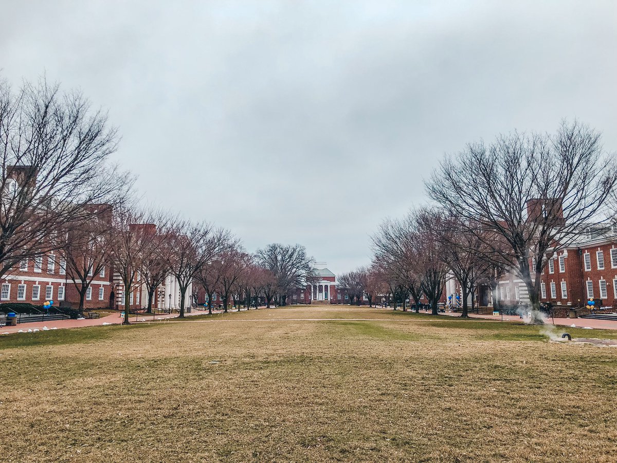 BlueHenMeagan14's tweet photo. Lots of great planning for #UDAW today. It was a joy to be back in my home sweet home. 💙💛 @UDalumni https://t.co/LB3rzZ7ul0