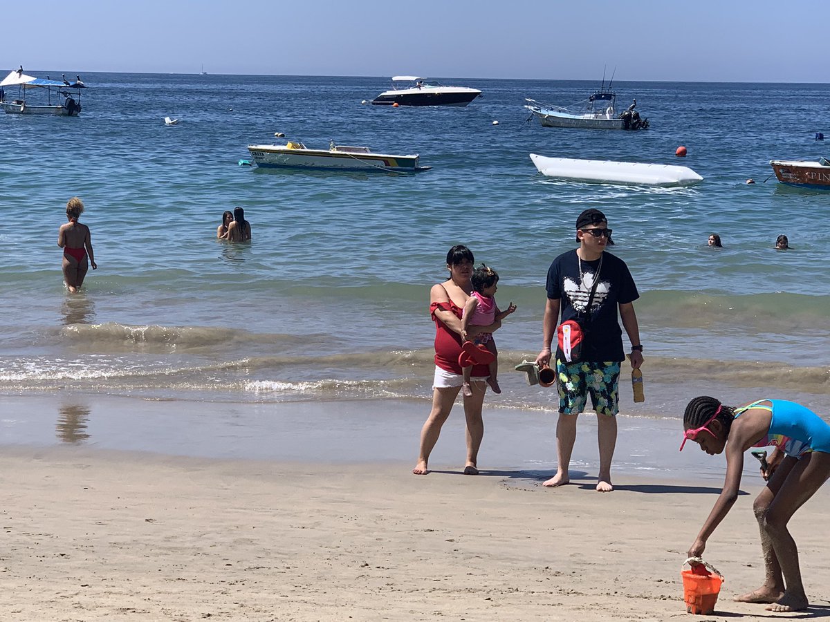 Mike Dabo (@mikedabo) on Twitter photo 