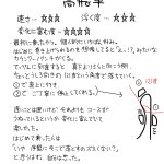 富士急ハイランドのコースターを解説!どれも乗りたくなる!