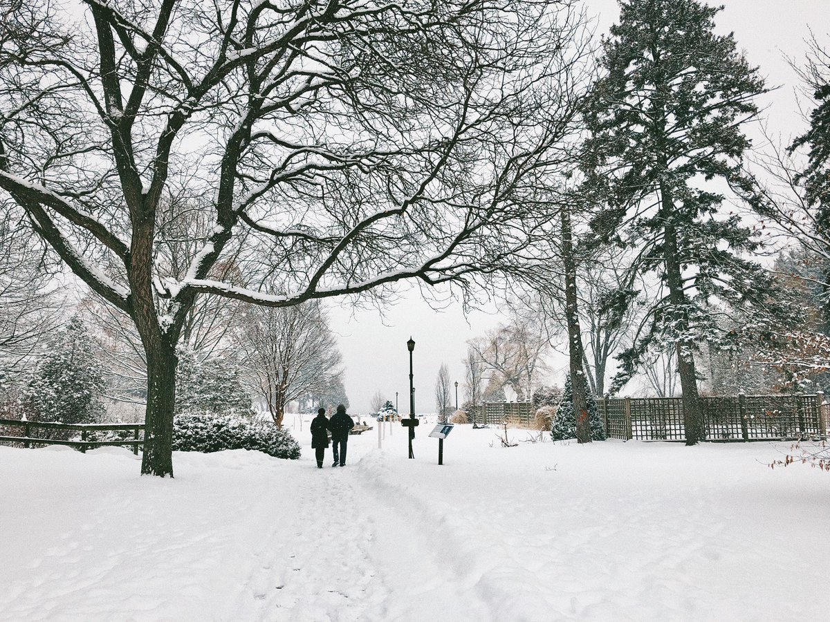 Littlelen1610's tweet photo. A snowing day in Canada! ❤️
#myshot https://t.co/XRWDDVwBcJ