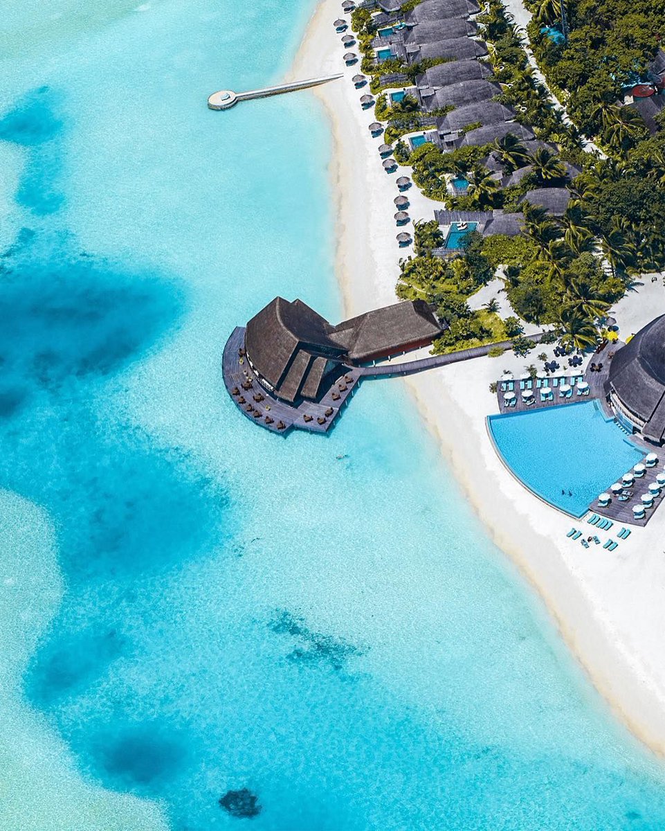 TravelVida's tweet photo. Maldives 🇲🇻 https://t.co/2CyK9trjus