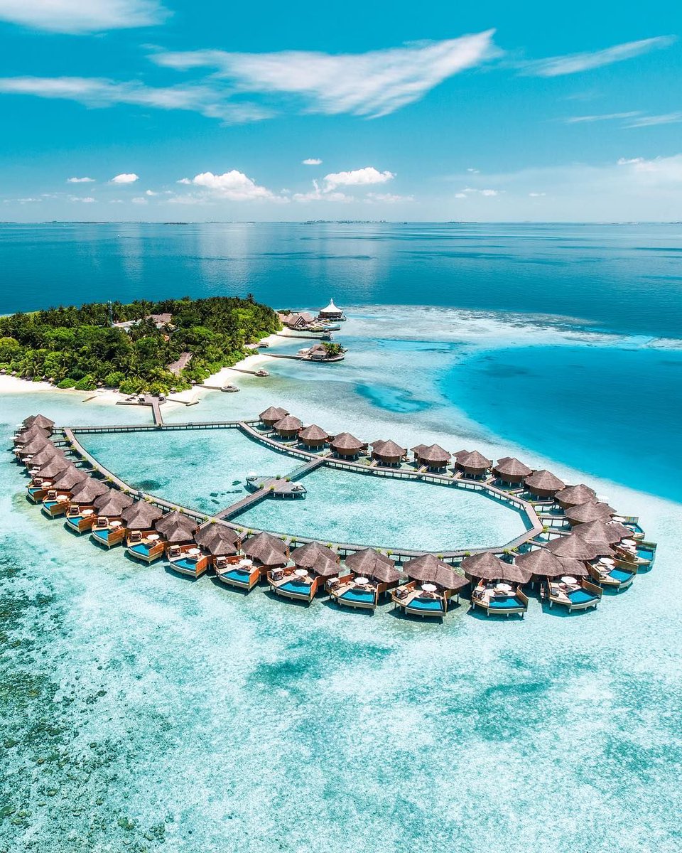 TravelVida's tweet photo. Maldives 🇲🇻 https://t.co/2CyK9trjus