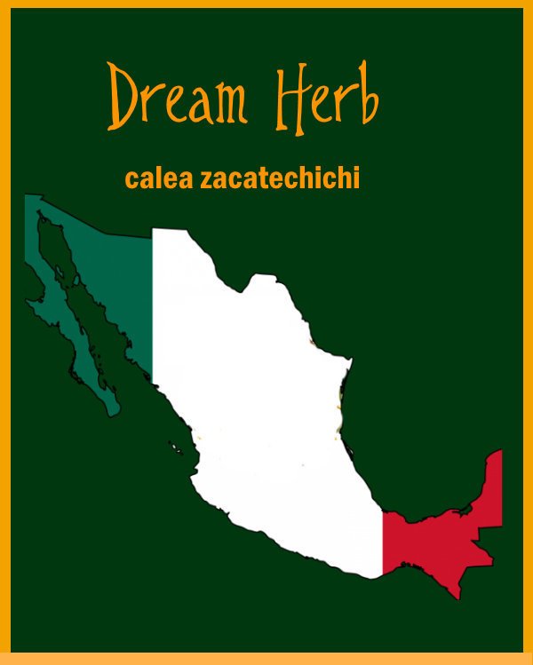 He_Him_His's tweet photo. Calea zacatechichi - Mexican Dream Herb - Premium Dried Herb - Calea zacatechichi Loose Leaf Tea https://t.co/DixzVTkX3L #housewares #green #brown #dreamherb #caleazacatechich #wholeearthherbals https://t.co/4QBULT2Q40
