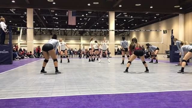 Dig This! VBC tweet media