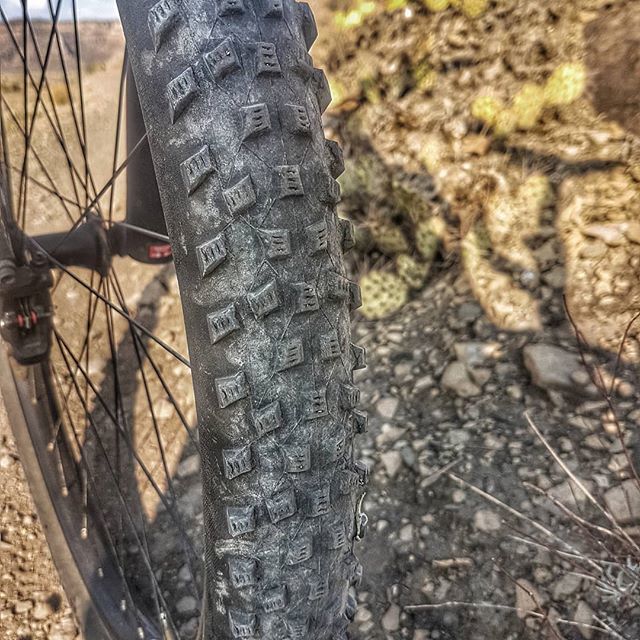 scottameyer's tweet photo. Tread lightly🌵🌵🚲
.
.
.
#mtb #mtblife #trail #mtbpassion #singletracks #trailphotos #mtbphotos #santacruzhightower #ride100percent #mtbscenery #bike #bikelife #ridegrandjunction #redrocks #mtb_meyer #ridecolorado https://t.co/GOJrcILEek https://t.co/QUef6wt0Lx