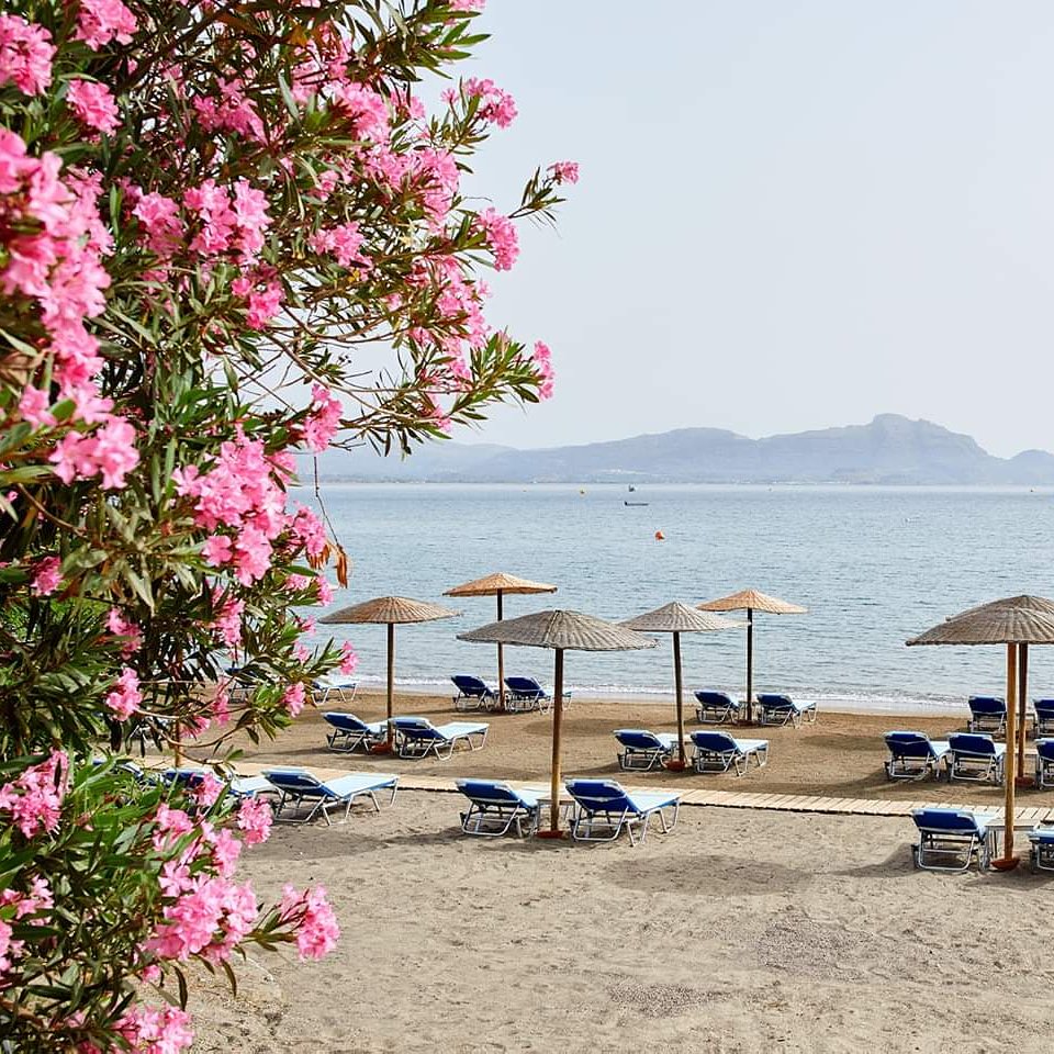 Lindos Mare tweet media