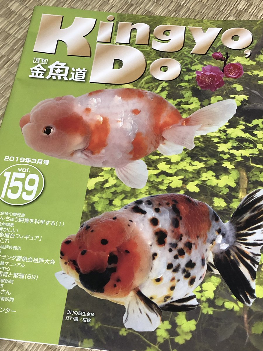 金魚の履歴書