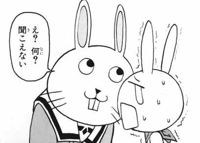 3月3日はうさぎの日だそうです!! #ウサギの日