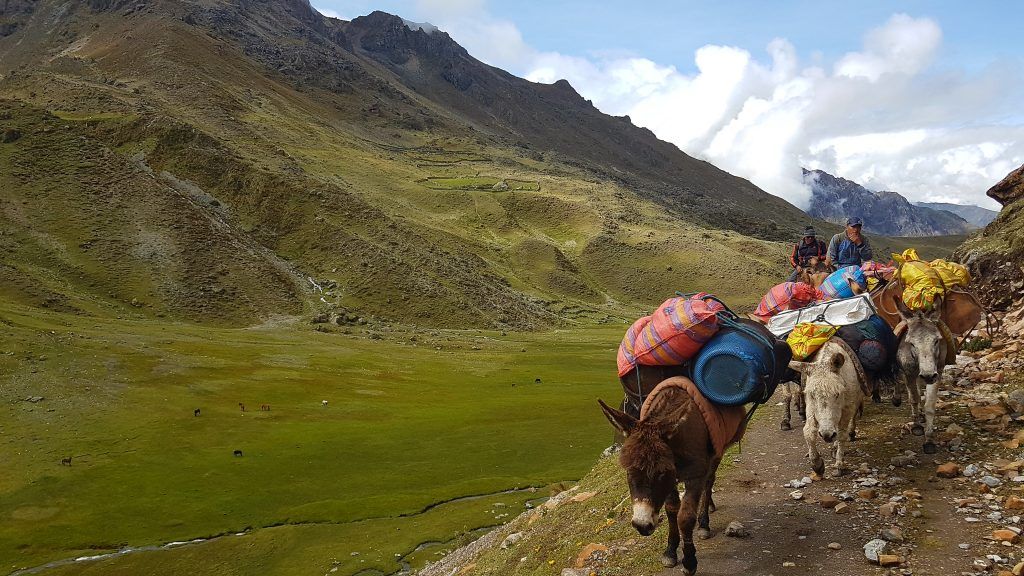 Trevellers_'s tweet photo. https://t.co/Uxpr2NAr5Q Dos and Don’ts for #Huayhuash Trek (2/2) | #peru #trevellersperu @peru @VisitPeru #trevellers #hikinginperu #trekking #hiking #Acclimatize #propergear https://t.co/OY2xa9Ca7F
