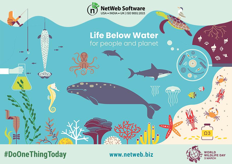 netwebsoftware's tweet photo. This #WorldWildlifeDay, let us pledge to #DoOneThingToday to preserve Life Under Water and protect them by #BeatingPollution.
#NetWebBelieves #NetWebSupports #WWD19 #MarineSpecies #ClimateChange #GlobalWarming #CleanEnergy #ProtectMarineLife #LifeUnderWater #UnitedNations https://t.co/RAw5HSPdad
