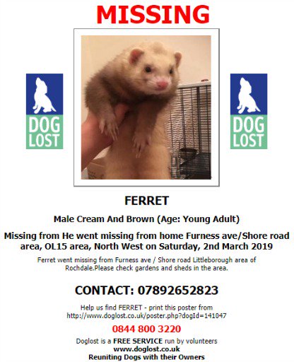 #LOST #FERRET
Male Cream And Brown Young Adult Ferret
#Missing from Furness Ave / Shore Road #Littleborough #Rochdale #OL15 Saturday 2nd March 2019
#ScanMe <a href="/SAMPAuk_/">Stolen&Missing Pets</a>  <a href="/VetsGetScanning/">MakeChipsCount to Reunite Pets</a> #DogLostUK 

doglost.co.uk/pet/141047