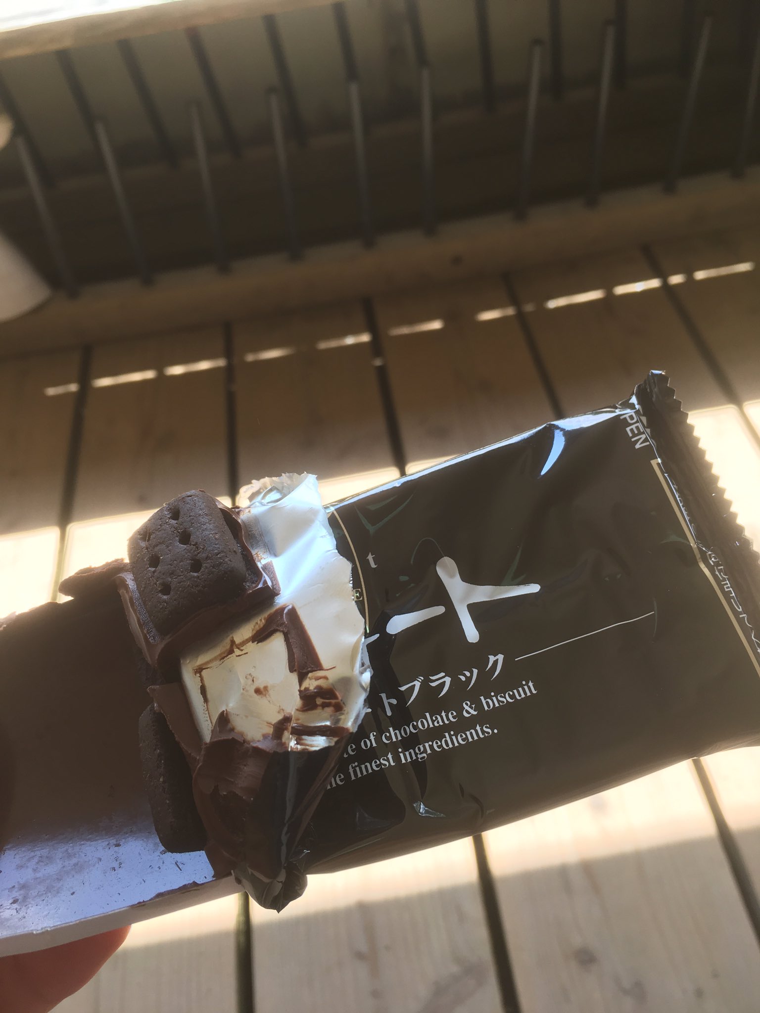 ギザみみピチュー Gizamimi Lunch Twitter