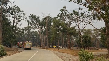 Προβολή εικόνας στο Twitter