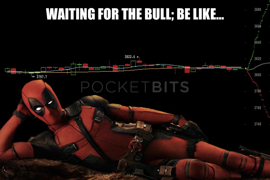 PocketBitsIndia's tweet image. HODLER&apos;s be like...
#isupportcrypto