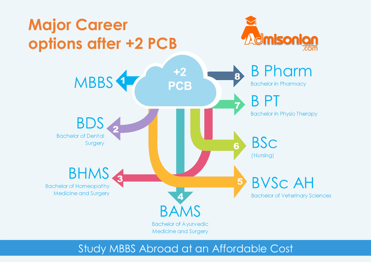 admisonian's tweet photo. Here we are presenting you all the major career option after +2 result. Call us @98-2120-3565 for more information.
https://t.co/Dx8jEX7Ahn
#StudyMBBSAbroad
#StudyMBBSinUkraine
#StudyMBBSinNepal
#StudyMBBSinKyrgyzstan
#StudyMBBSinRussia
#StudyMBBSinIndia https://t.co/9sZyDB9j2b