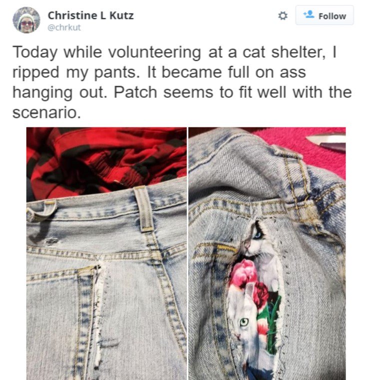 CatsOnCatnip's tweet image. Somehow the universe aligned here 😂