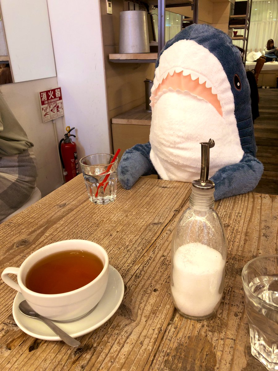 Ikeaのサメを買ってカフェに寄ったら店員さんの対応が最高すぎた もしや塩水 パワーワード Togetter
