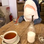 持て余したサメを向かいの席に置いたら店員さんがお水をくれました!なんとやさしい世界!