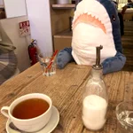 持て余したサメを向かいの席に置いたら店員さんがお水をくれました!なんとやさしい世界!