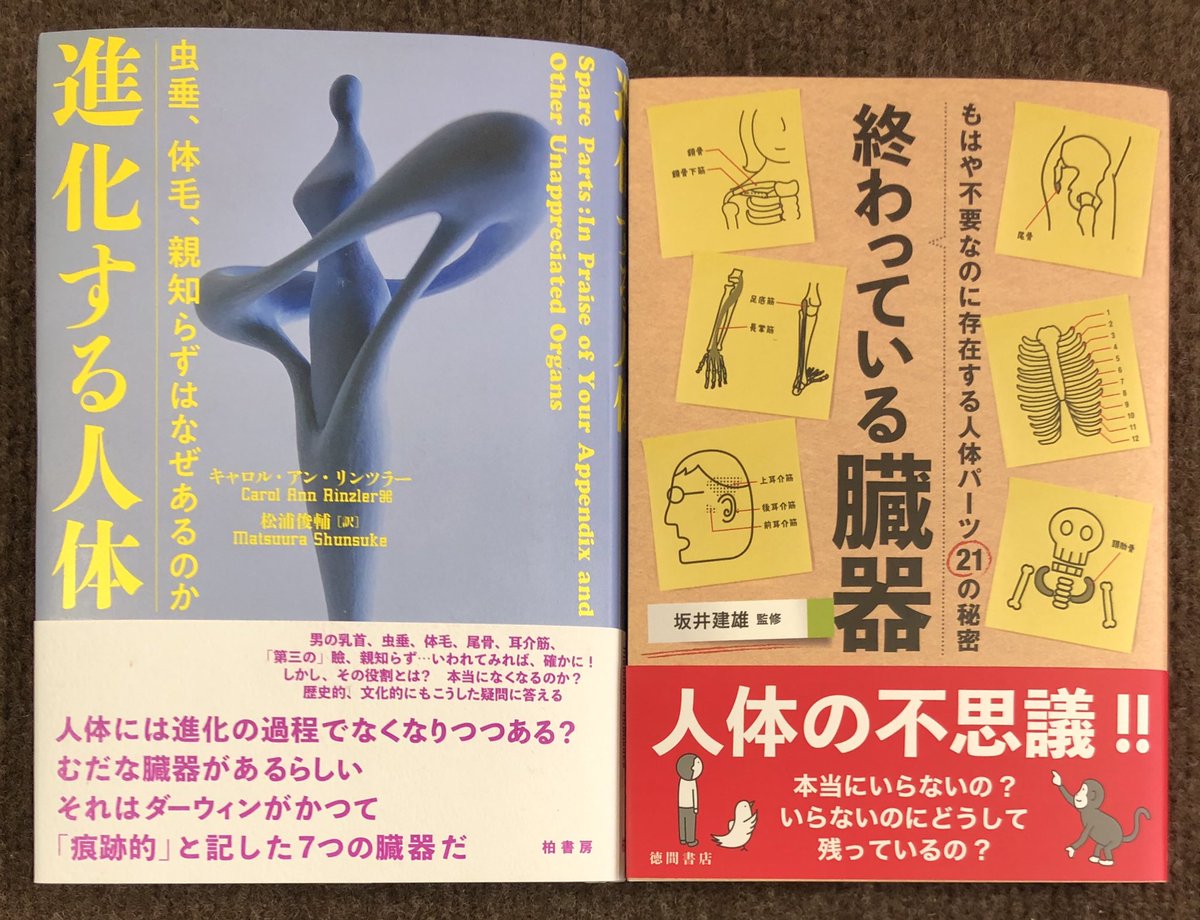 ときわ書房志津ステーションビル店 キャロル アン リンツラー 著 松浦俊輔 訳 進化する人体 虫垂 体毛 親知らずはなぜあるのか 柏書房 坂井建雄 監修 終わっている臓器 もはや不要なのに存在する人体パーツ21の秘密 徳間書店 志津に入荷して ときわ書房志津ステーションビル店 キャロル アン リンツラー 著 松浦俊輔 訳 進化する人体 虫垂 体毛 親知らずはなぜあるのか 柏書房 坂井建雄 監修 終わっている臓器 もはや不要なのに存在する人体パーツ21の秘密 徳間書店 志津に入荷して