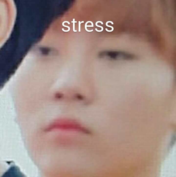 minghaos_'s tweet photo. hello i am moving accounts and i followed a bunch of you already (aka people i can't live without), but i'm still in the process https://t.co/sq5O0grjVx