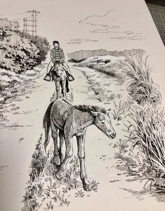 ヨナグニウマの母馬と、その周りを自由に駆け回る子馬 #今日のボールペン #旅するボールペン与那国・西表 