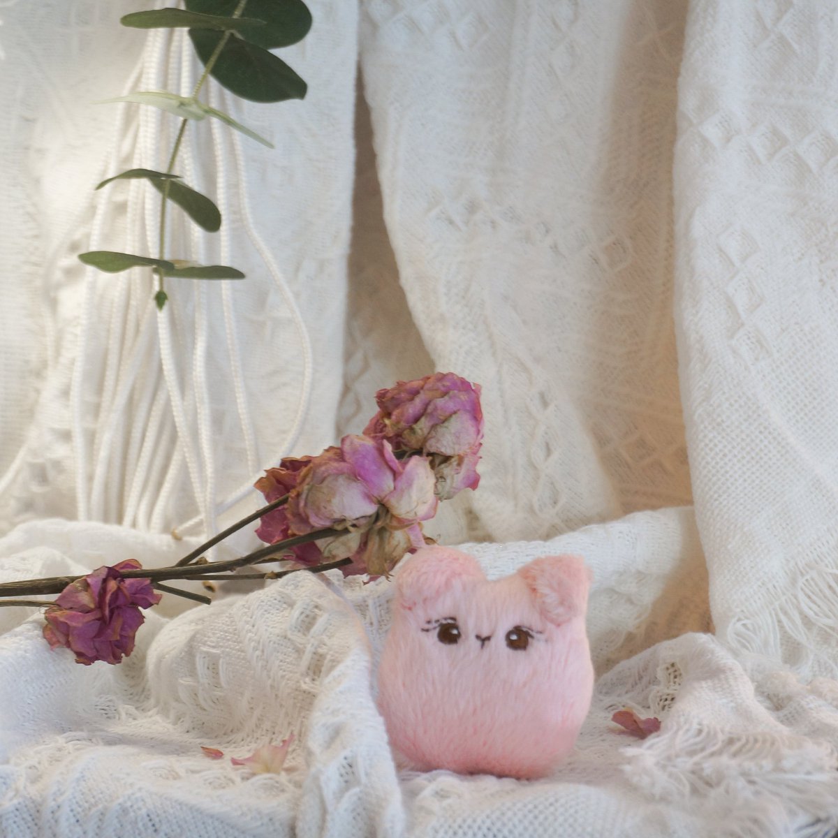 솜깅이들이랑 같이 외출한지가 언젠지..(˚ ˃̣̣̥᷄⌓˂̣̣̥᷅ )
봄나들이 꼭 가야지 🌸💗 #박지훈 #핑끼